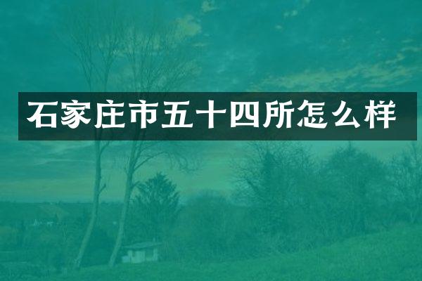 石家庄市五十四所怎么样