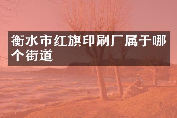 衡水市红旗印刷厂属于哪个街道