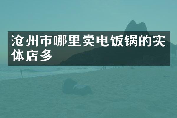 沧州市哪里卖电饭锅的实体店多