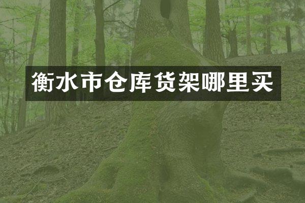 衡水市仓库货架哪里买