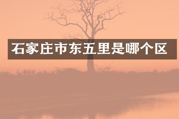 石家庄市东五里是哪个区
