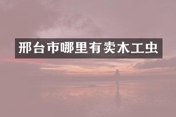 邢台市哪里有卖木工虫