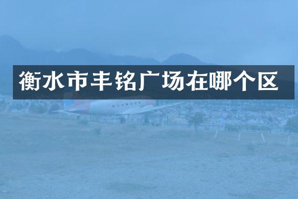 衡水市丰铭广场在哪个区