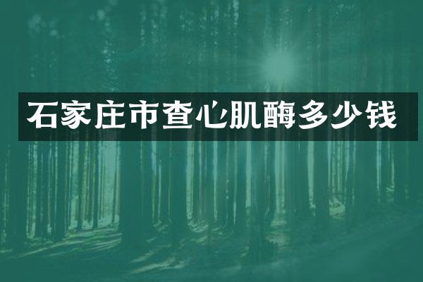 石家庄市查心肌酶多少钱