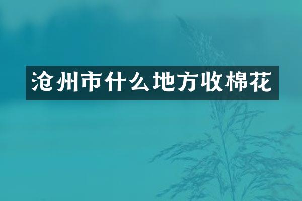沧州市什么地方收棉花