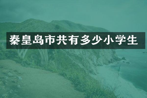 秦皇岛市共有多少小学生