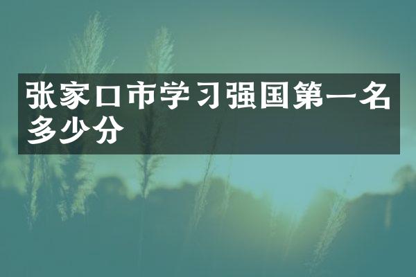 张家口市学习强国第一名多少分