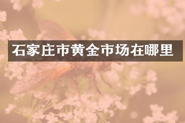 石家庄市黄金市场在哪里