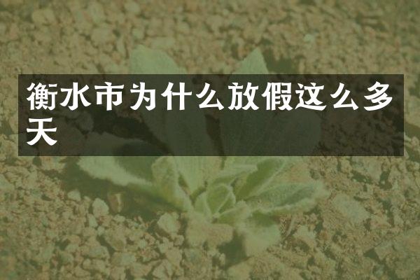 衡水市为什么放假这么多天