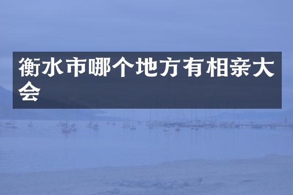 衡水市哪个地方有相亲大会