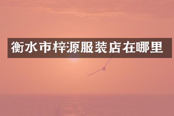 衡水市梓源服装店在哪里