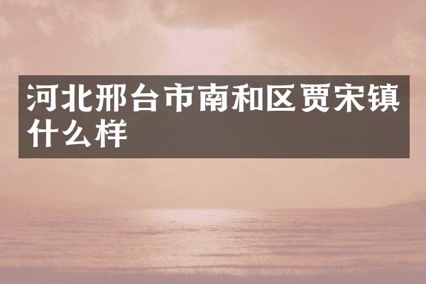 河北邢台市南和区贾宋镇什么样