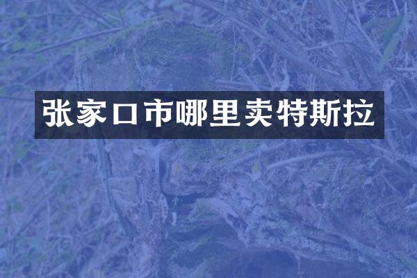 张家口市哪里卖特斯拉