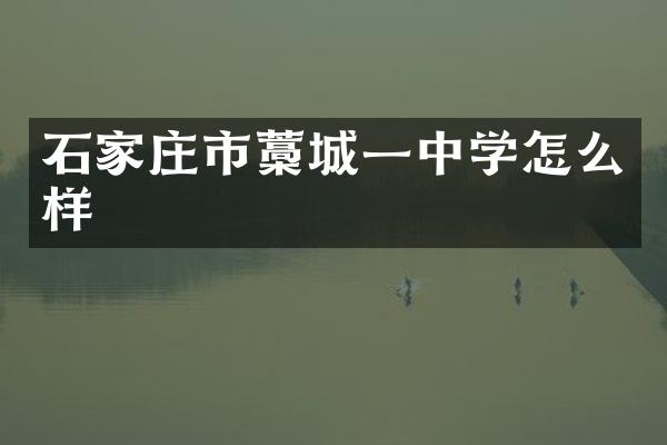 石家庄市藁城一中学怎么样