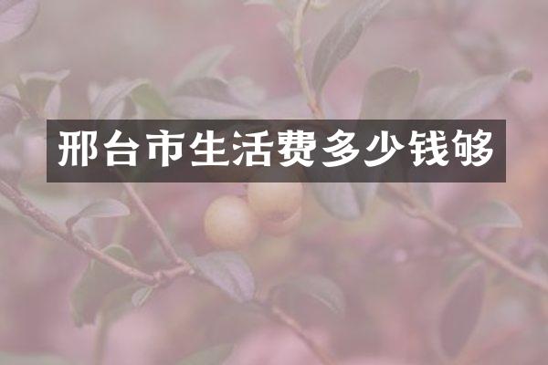 邢台市生活费多少钱够