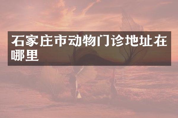 石家庄市动物门诊地址在哪里
