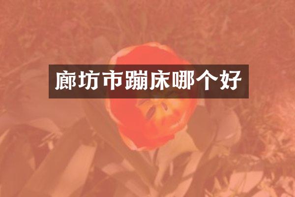 廊坊市蹦床哪个好