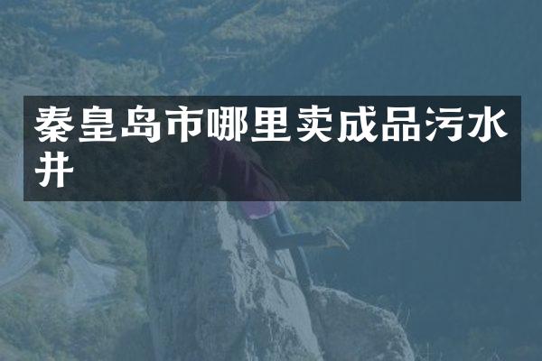 秦皇岛市哪里卖成品污水井