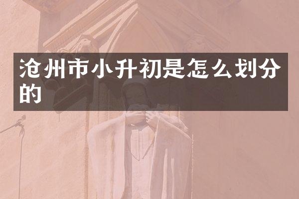 沧州市小升初是怎么划分的