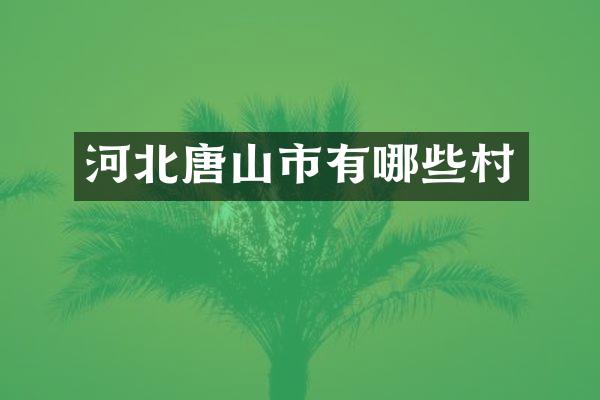 河北唐山市有哪些村