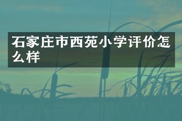 石家庄市西苑小学评价怎么样