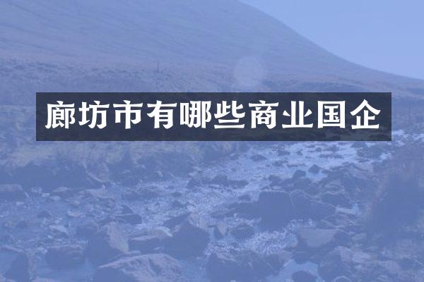 廊坊市有哪些商业国企