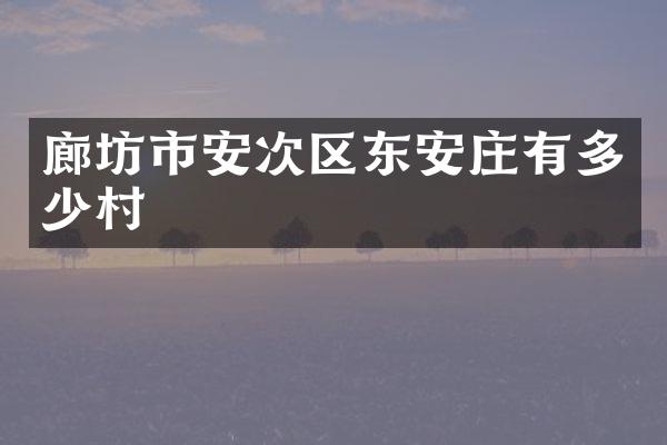 廊坊市安次区东安庄有多少村