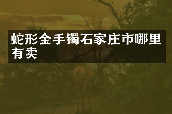 蛇形金手镯石家庄市哪里有卖