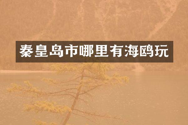 秦皇岛市哪里有海鸥玩