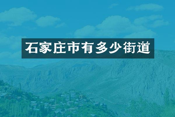 石家庄市有多少街道