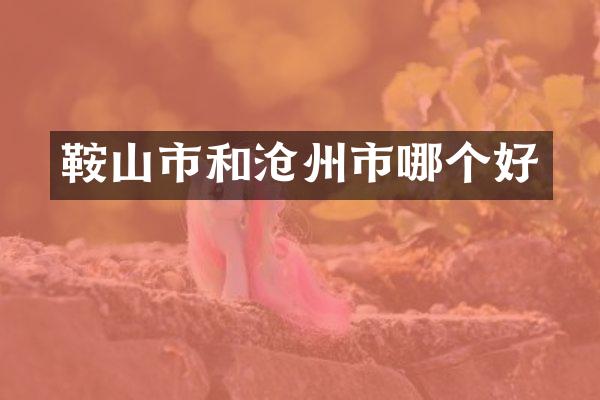 鞍山市和沧州市哪个好