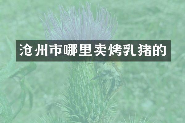 沧州市哪里卖烤乳猪的