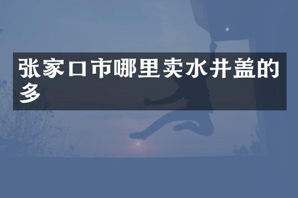 张家口市哪里卖水井盖的多