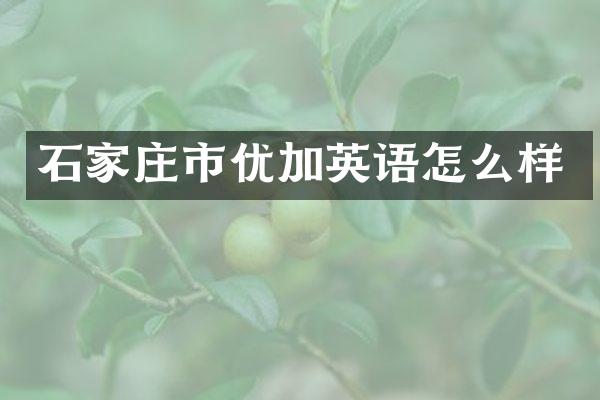 石家庄市优加英语怎么样