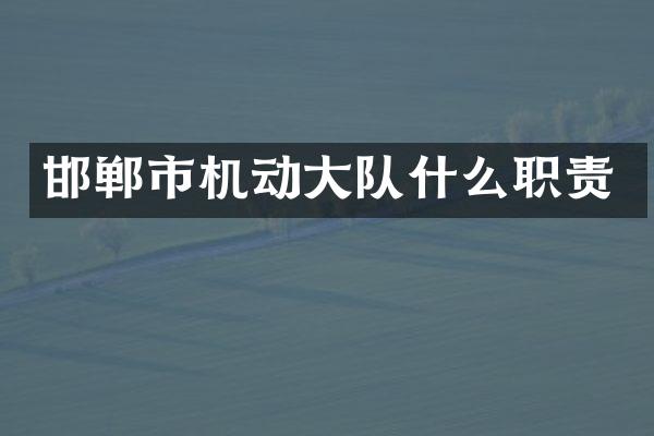 邯郸市机动大队什么职责