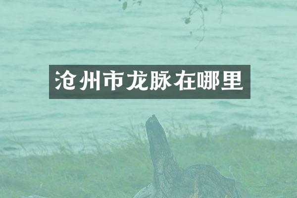 沧州市龙脉在哪里