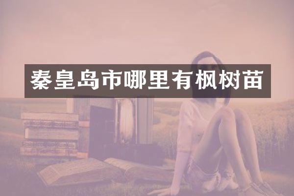 秦皇岛市哪里有枫树苗
