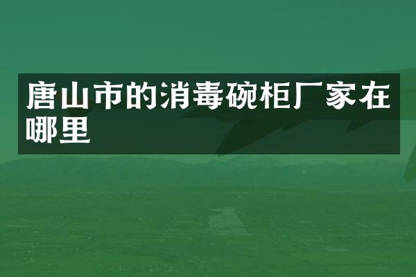 唐山市的消毒碗柜厂家在哪里