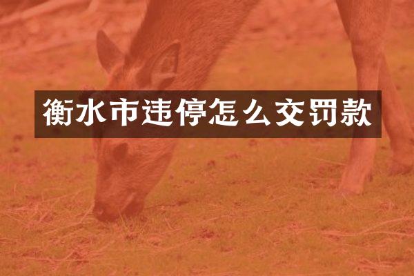 衡水市违停怎么交罚款