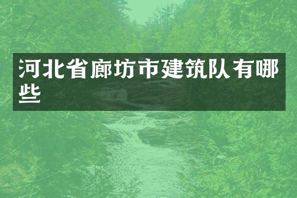 河北省廊坊市建筑队有哪些