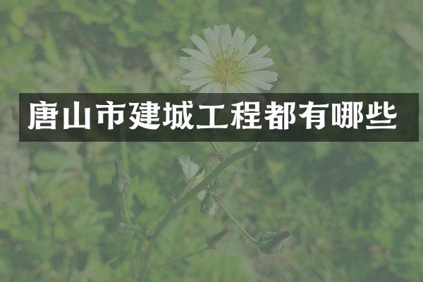 唐山市建城工程都有哪些
