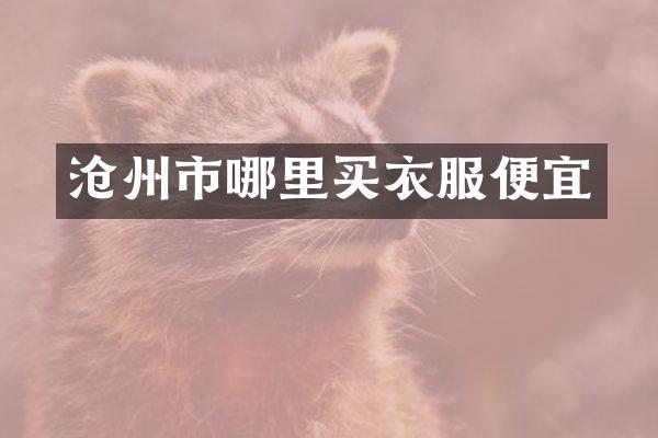 沧州市哪里买衣服便宜