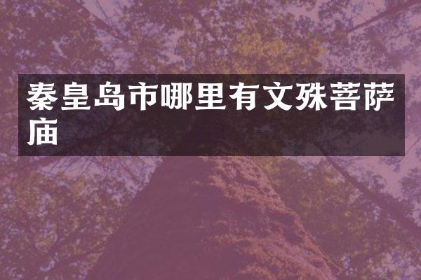 秦皇岛市哪里有文殊菩萨庙