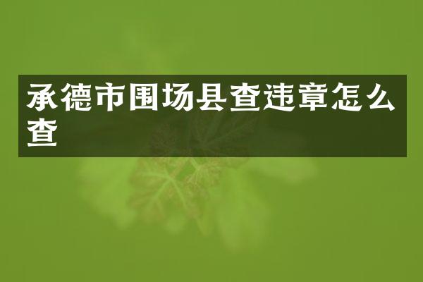 承德市围场县查违章怎么查