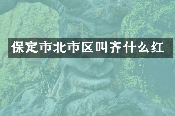 保定市北市区叫齐什么红