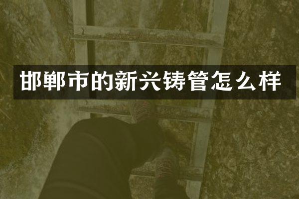 邯郸市的新兴铸管怎么样