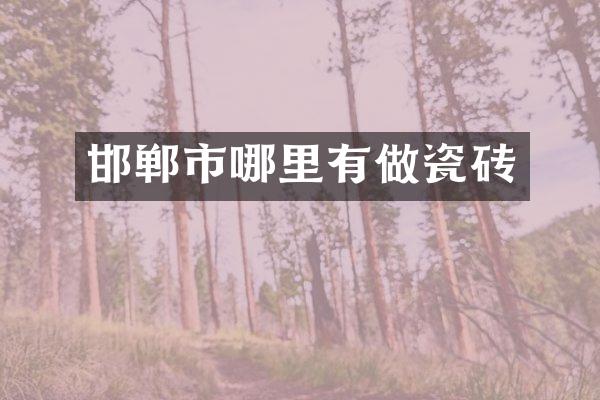 邯郸市哪里有做瓷砖