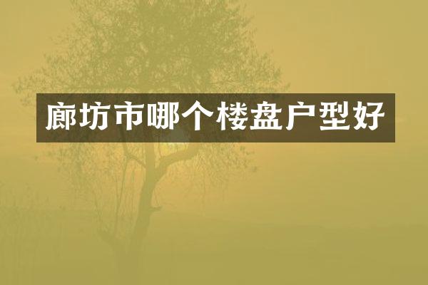 廊坊市哪个楼盘户型好