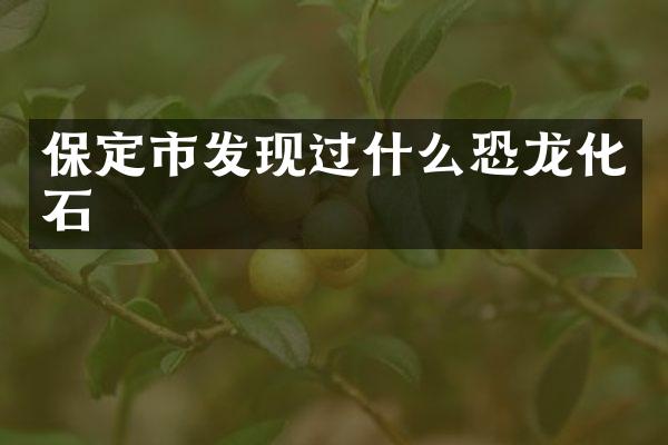 保定市发现过什么恐龙化石