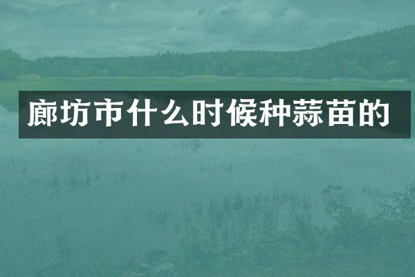 廊坊市什么时候种蒜苗的